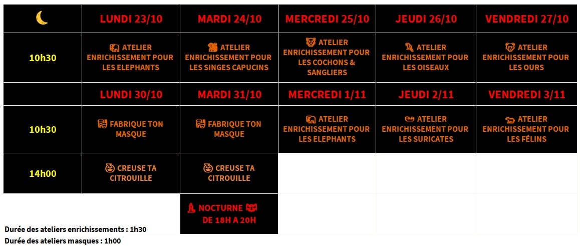La Tanière, zoo, refuge, zoo refuge, parc animalier, Chartres, Eure et Loir, Eure-et-Loir, Centre Val de Loire, Centre Val-de-Loire, animations, vacances scolaires, activités enfants, toussaint, halloween, citrouille, sorcières, chauve souris, Let it slow, gratuit
