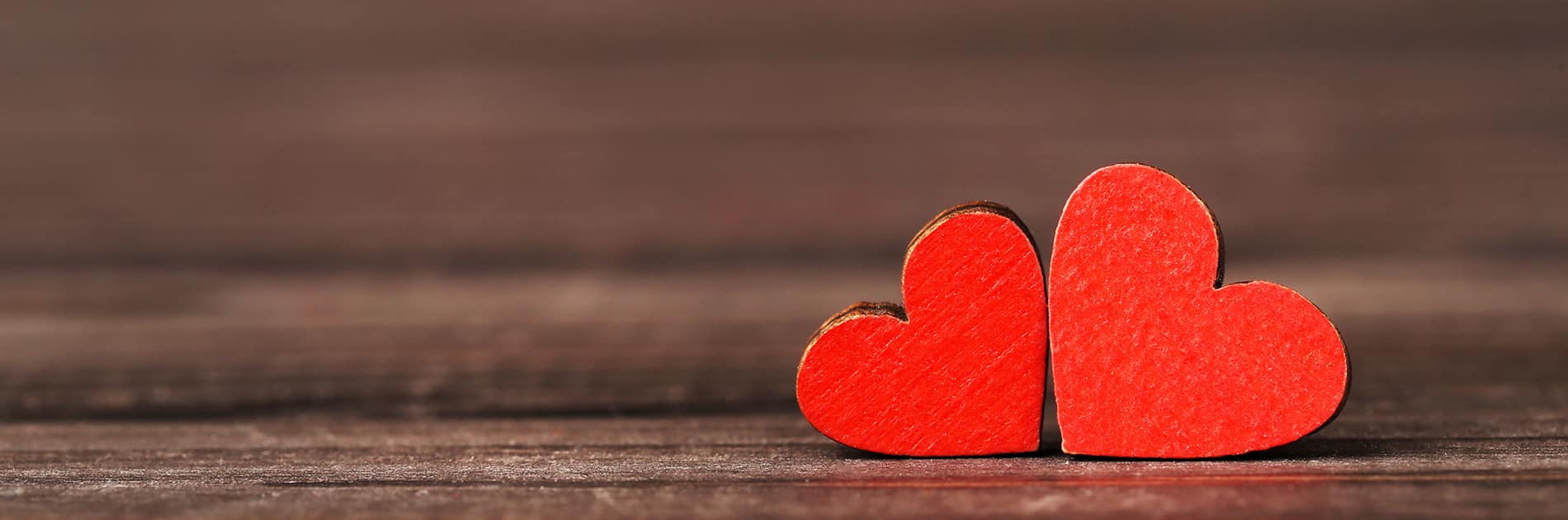 La Tanière, zoo, refuge, parc animalier, Chartres, Eure et Loir, St Valentin, cadeau, expérience unique, en amoureux, VIP, soigneur d'un jour, animaux