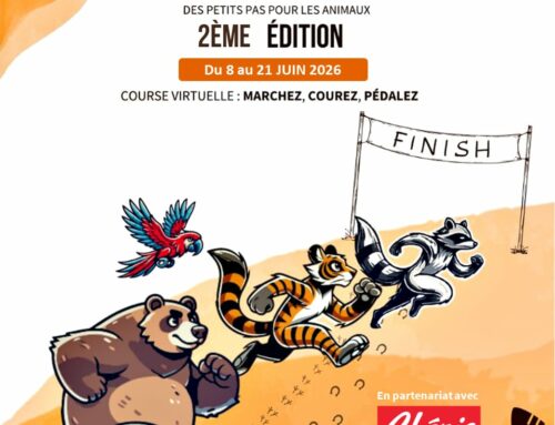2ème édition des Foulées de La Tanière