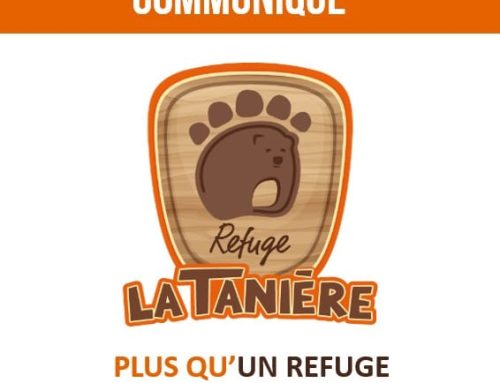 La Tanière dénonce la campagne de calomnies diffusée par le journal Libération